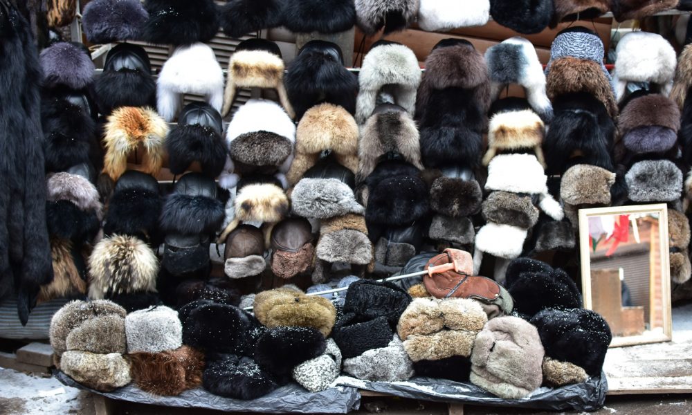 Словенцы в праздничной Москве.