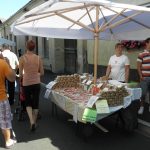 Праздник marijinega vnebovzetja Праздник marijinega vnebovzetja