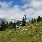 Planina Planina