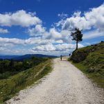 Planina Planina